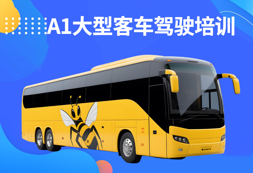 青岛A1驾考培训